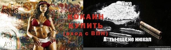 Альфа ПВП Кулебаки