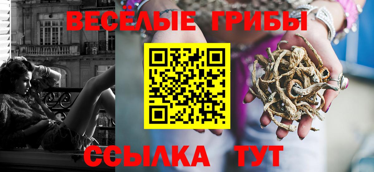 Псилоцибиновые грибы Psilocybe  Тейково 